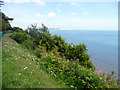 Cliff top near Appleby Steps, Shanklin, Isle of Wight