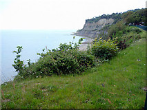 SZ5880 : Cliff top near Appleby Steps, Shanklin, Isle of Wight by Christine Matthews