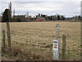 Bubbenhall School beyond a field of sheep