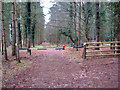 Path past the Thorpe Woodlands Adventure Centre