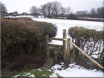 TQ8331 : Stile and two footbridges on the High Weald Landscape Trail by David Anstiss