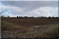 Field at Great Canfield Park