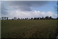 Field at Great Canfield Park