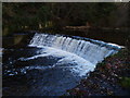 NY9763 : Dilston Weir by Clive Nicholson