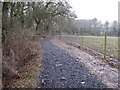 Footpath between the Downs Link path and Pinkhurst Lane