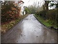 Pinkhurst Lane towards Lyons Road