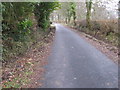 Cleared drainage ditches on Pinkhurst Lane