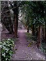 Tree lined path heading west from Compton