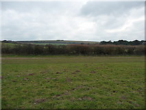 SZ0482 : Purbeck : Grassy Field & Hillside by Lewis Clarke