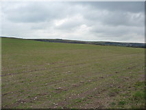 SZ0482 : Purbeck : Grassy Field by Lewis Clarke