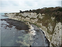 SZ0582 : Purbeck : Cliff Face & Handfast Point by Lewis Clarke
