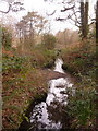 Alderney: a youthful Bourne stream