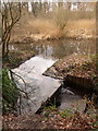 Alderney: odd waterfall arrangement on the Bourne stream