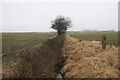 Over-grown beck near Moorhouse Estate