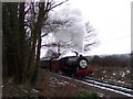 TQ8733 : Train on Kent and East Sussex Railway by David Anstiss