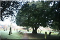 Churchyard, Parish church of St Peter & St Paul, Edenbridge