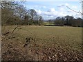 Field near Spring Grove Cross