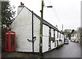 SX4868 : The Village, Buckland Monachorum (1) by Andrew Hackney