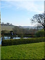 View over the pond at Felley Priory