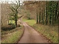 Farm road to River