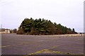 Copse on the former Oakley Airfield