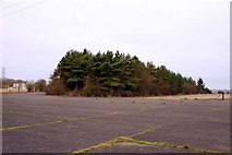 SP6309 : Copse on the former Oakley Airfield by Steve Daniels