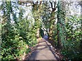 Tree-lined path along Romsey Road