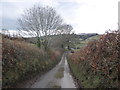 Branscombe Lane, near Dawlish