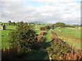 Teesdale Railway Walk