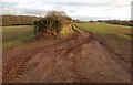 Track and field boundary near Westbrook Farm