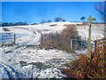 Snowy farmland at Upper Hergest