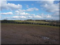 Riding school grounds