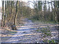 Woodland Track - Bradford Road