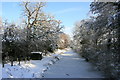 Frozen canal at Brookwood