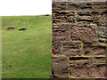 SE3651 : Molehills and masonry by John Sutton