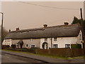 Lytchett Minster: thatched cottages covered in sleet