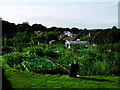 Craggwood Allotments