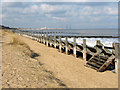 TG5300 : Groynes and revetment on the beach below Hopton-on-Sea by Evelyn Simak