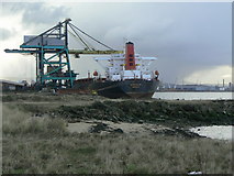 NZ5425 : Bulk cargo ship by Alan Murray-Rust