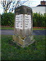 The Shirehall milestone - detail