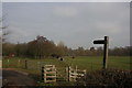 Darent Valley Path heading north from the A25