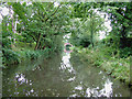 Stratford-upon-Avon Canal at Dickens Heath, Solihull