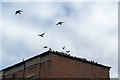 Lift Off from Montgomery Terrace Road, Upperthorpe, Sheffield