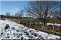 Livestock Drinking Enclosure