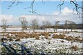 Looking towards Glenforkie