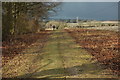 Bridleway past Haytor