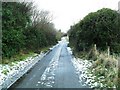 Green Lane, Conlig