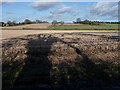 Looking north from Dumpford Lane