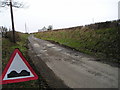 Towards Penwaun, frost damage