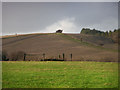 View from the track to Buriton Farm